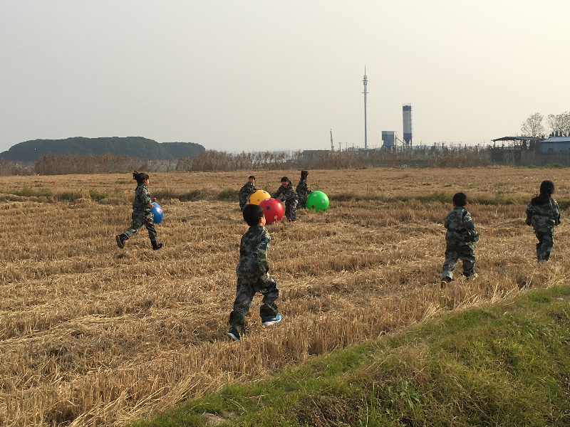 野趣活动